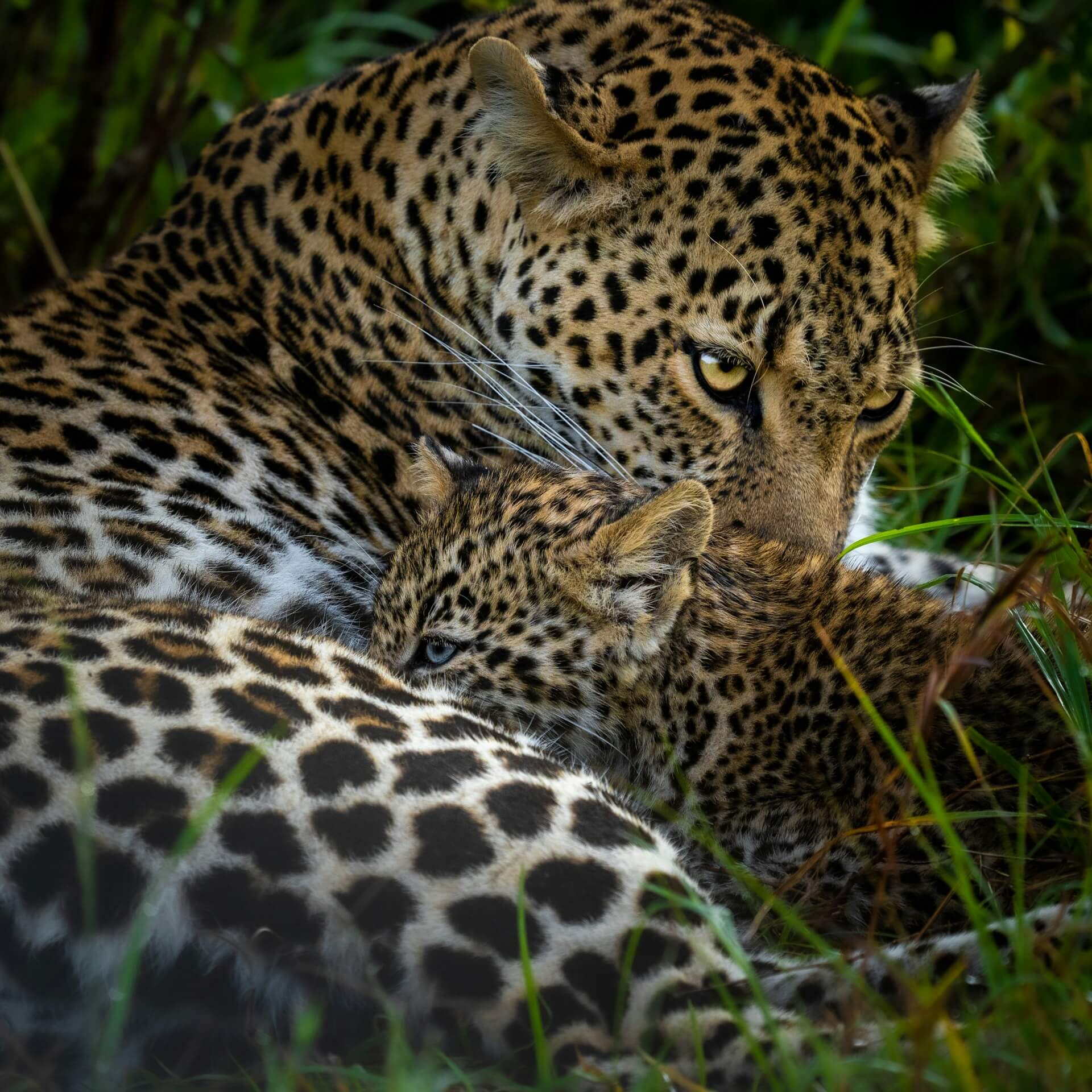 ahmed-galal-lhzhDD2eEFw-unsplash