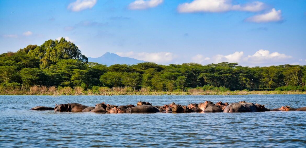 8 Days Kenya & Tanzania Safari Adventure