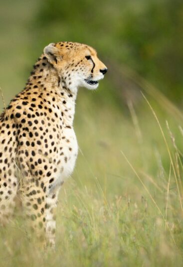 Serengeti National Park